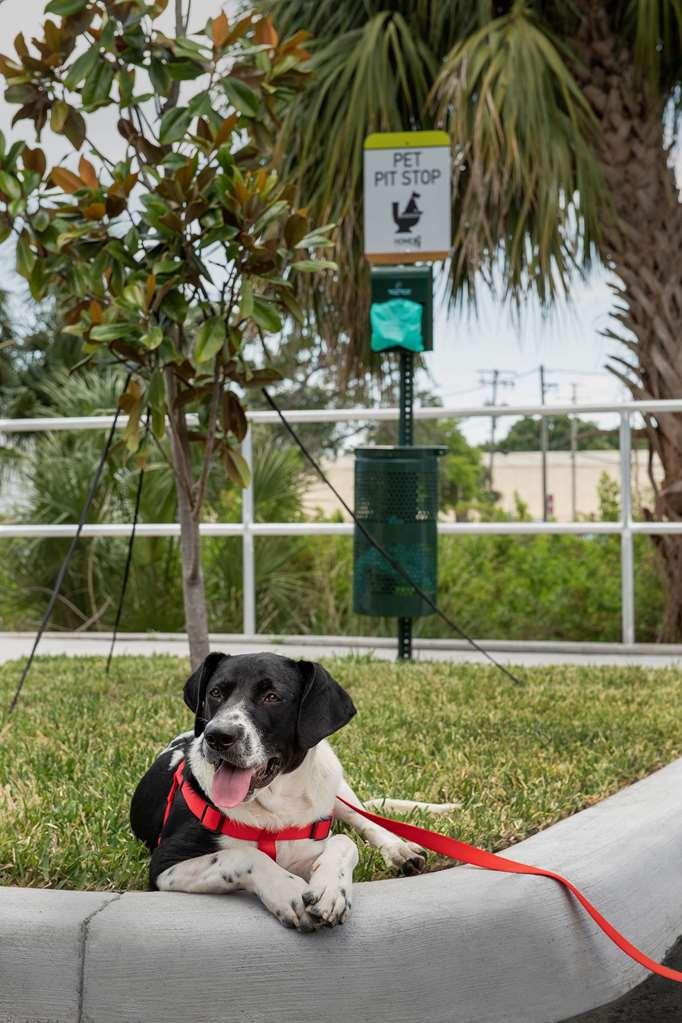 Home2 Suites By Hilton Tampa Westshore Airport Esterno foto